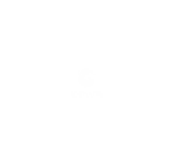 client image
